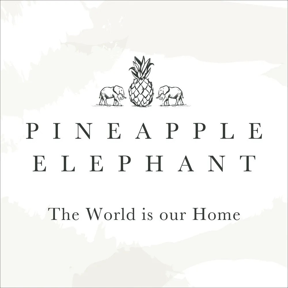 Poszewki na poduszki zestaw 2 szt. 50x75 cm Tamba Stripe – Pineapple Elephant