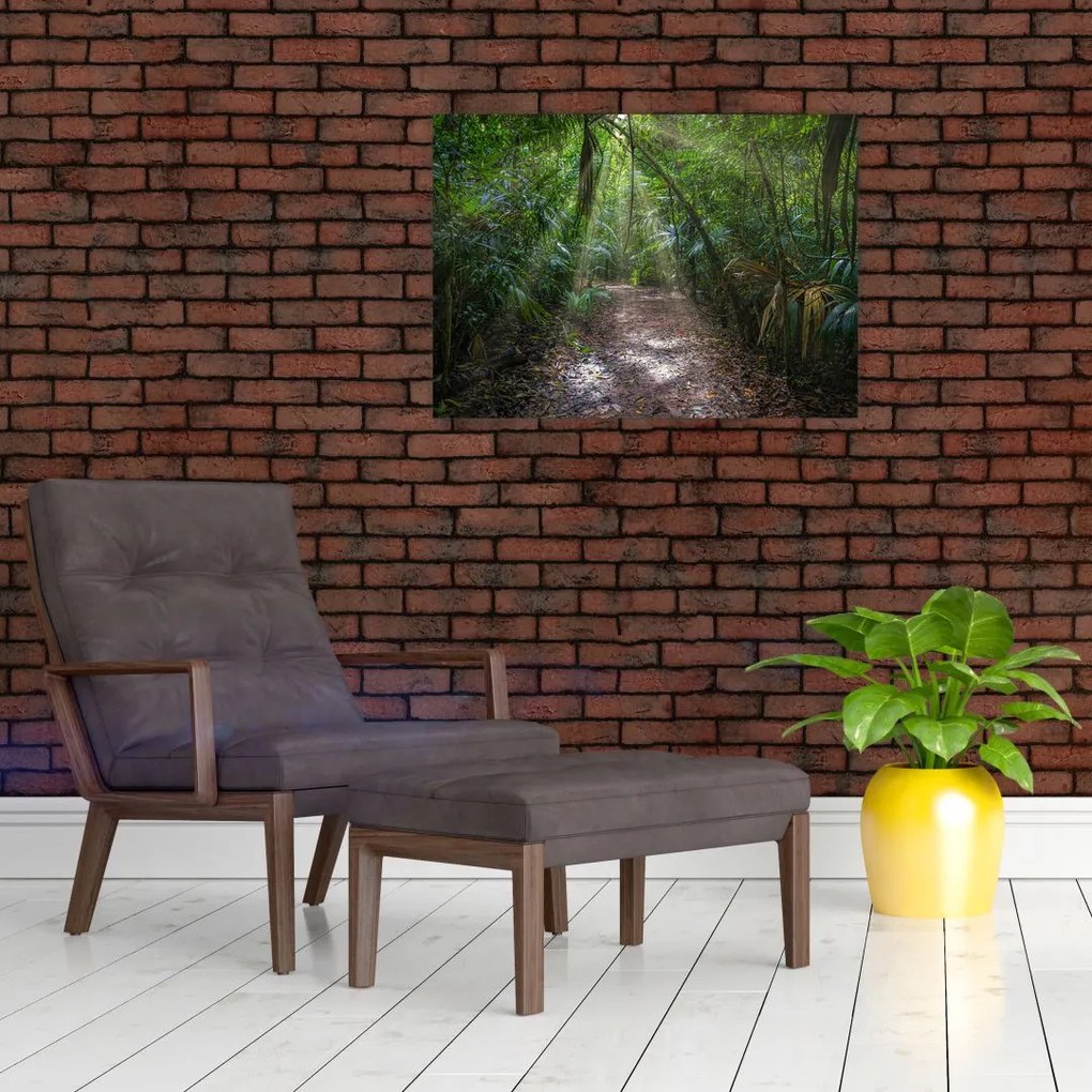 Obraz - Promienie słońca w dżungli (70x50 cm)