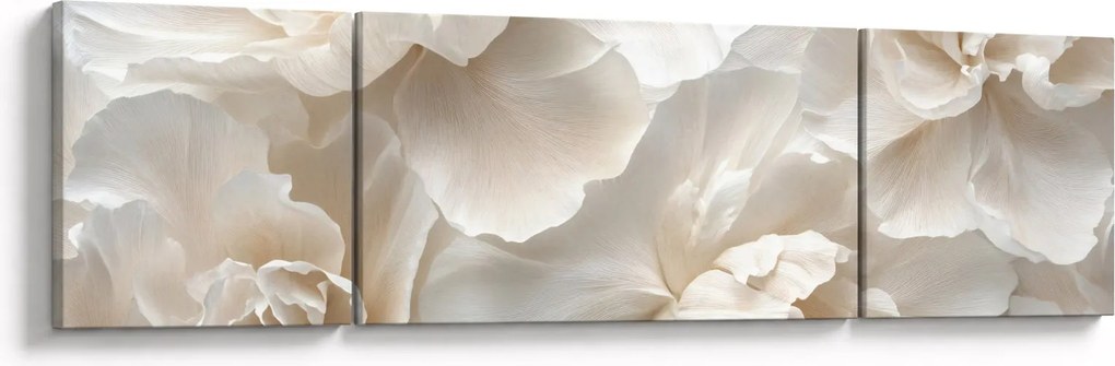 Obraz - Delikatne piwonie (170x50 cm)