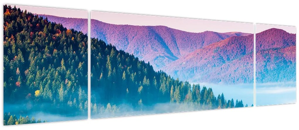 Obraz - Panorama 2 (170x50 cm)