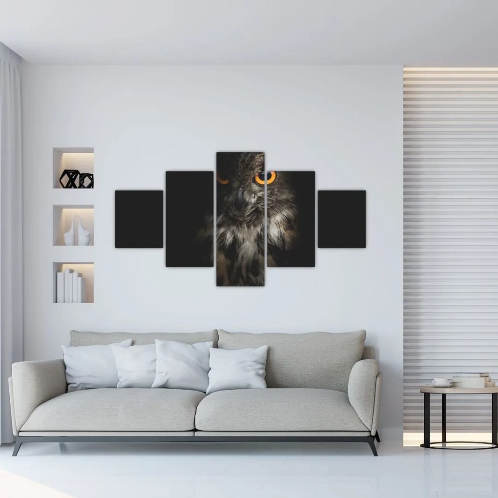 Obraz sowy (125x70 cm)