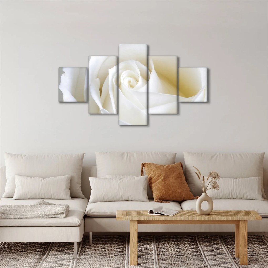 Obraz białej róży (125x70 cm)