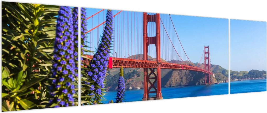 Obraz - Most Golden Gate, San Francisco (170x50 cm)
