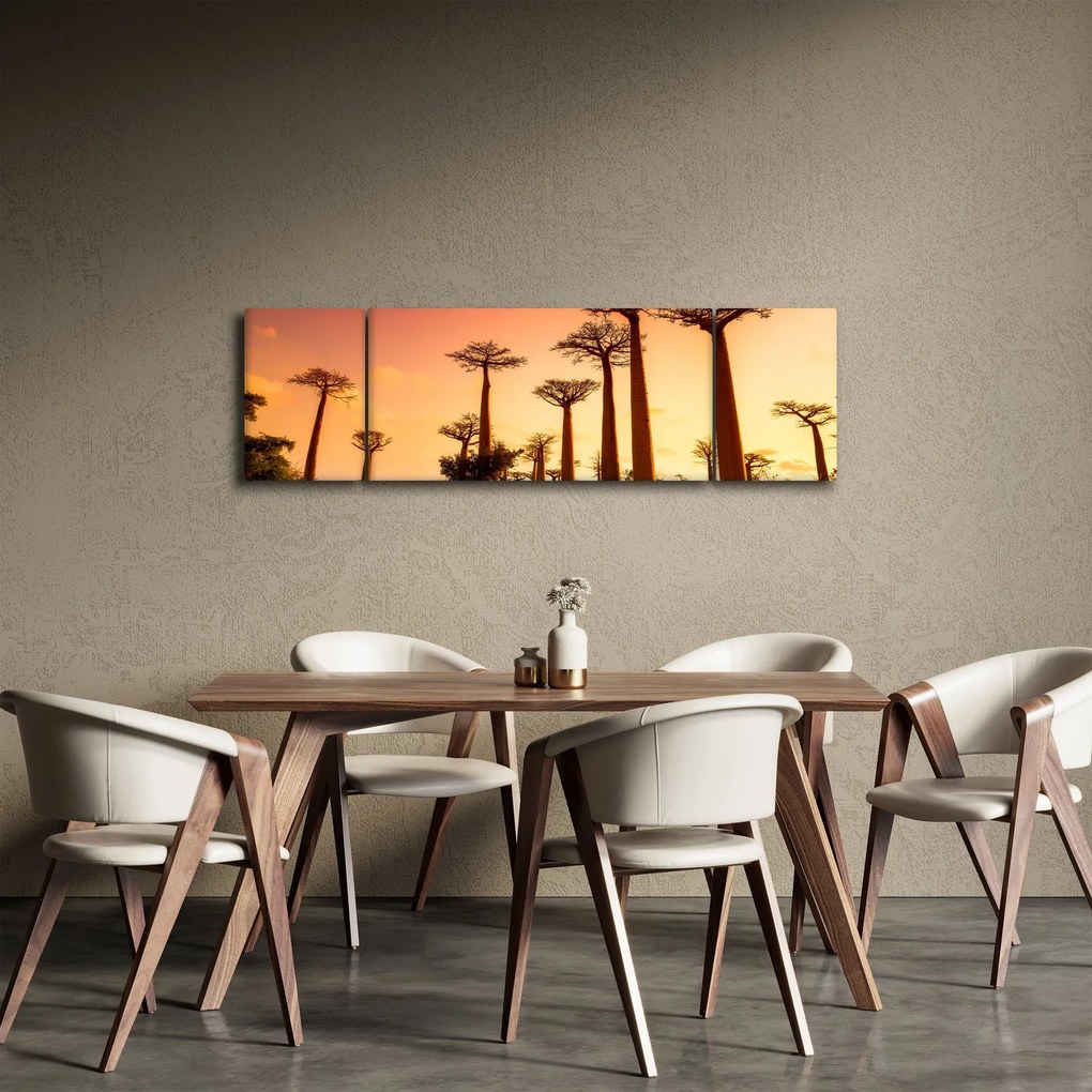 Obraz - Zachód słońca w Baobab Alley (170x50 cm)
