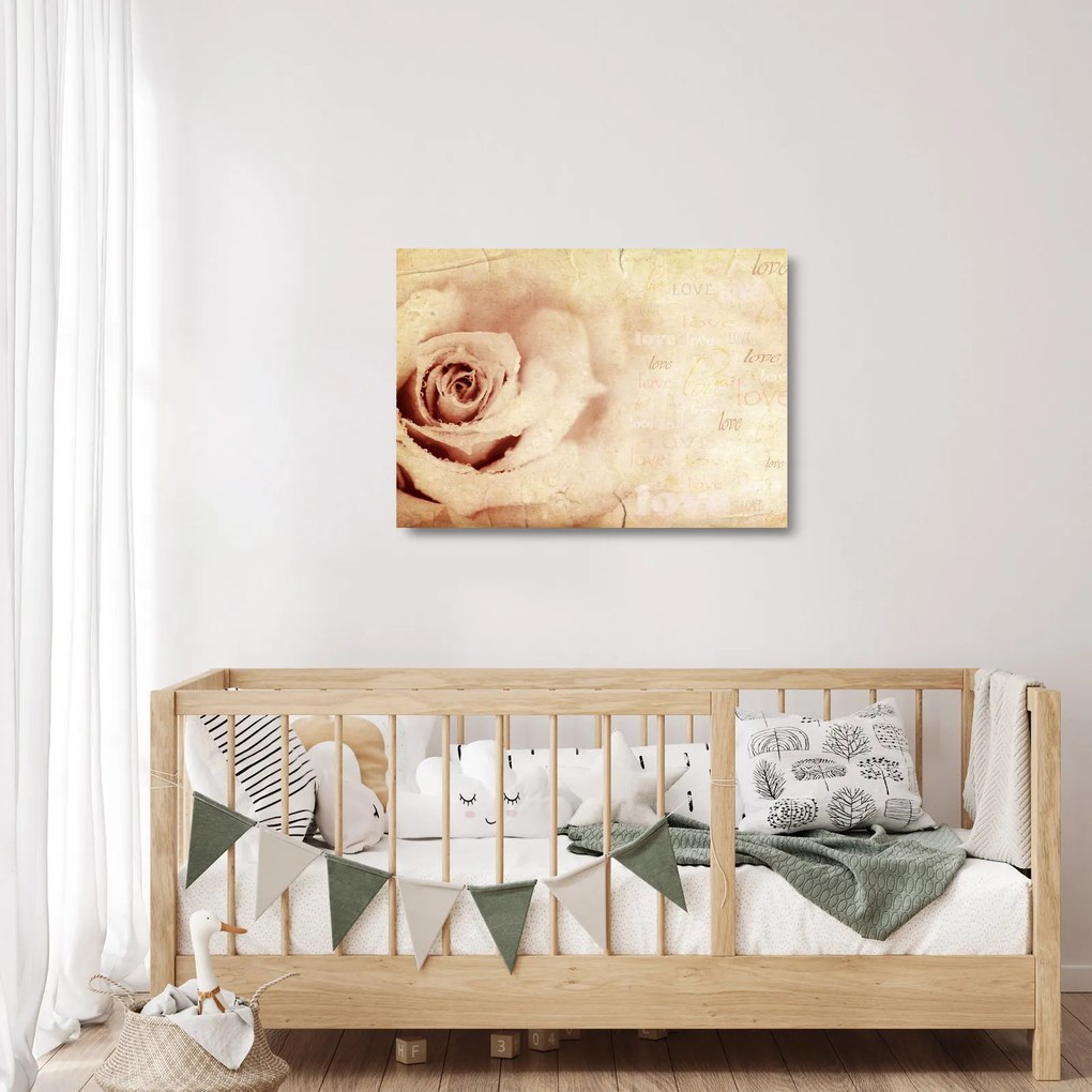 Obraz na szkle - Kwiat róży dla zakochanych (70x50 cm)