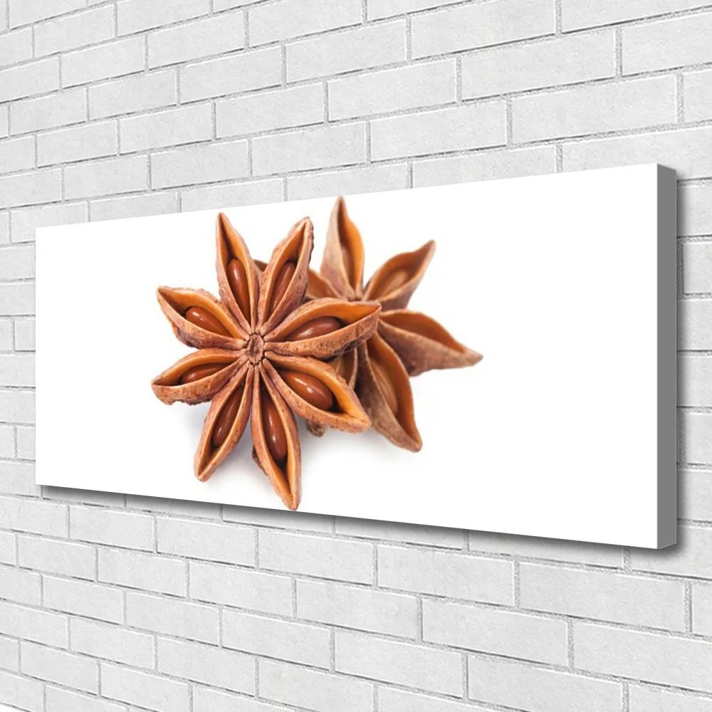 Fotoobraz na płótnie Aromat Gwieździstego Anyżu