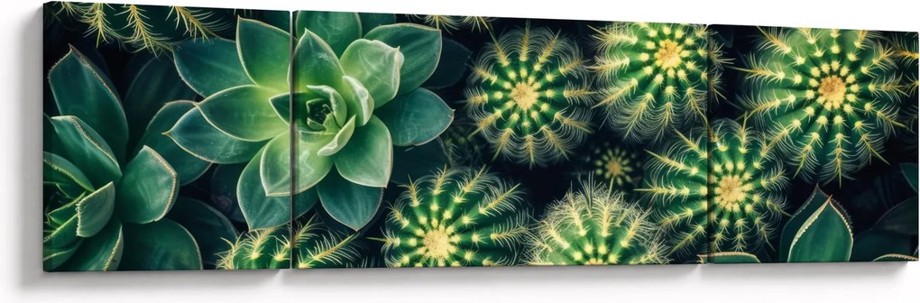 Obraz - Kaktusy (170x50 cm)