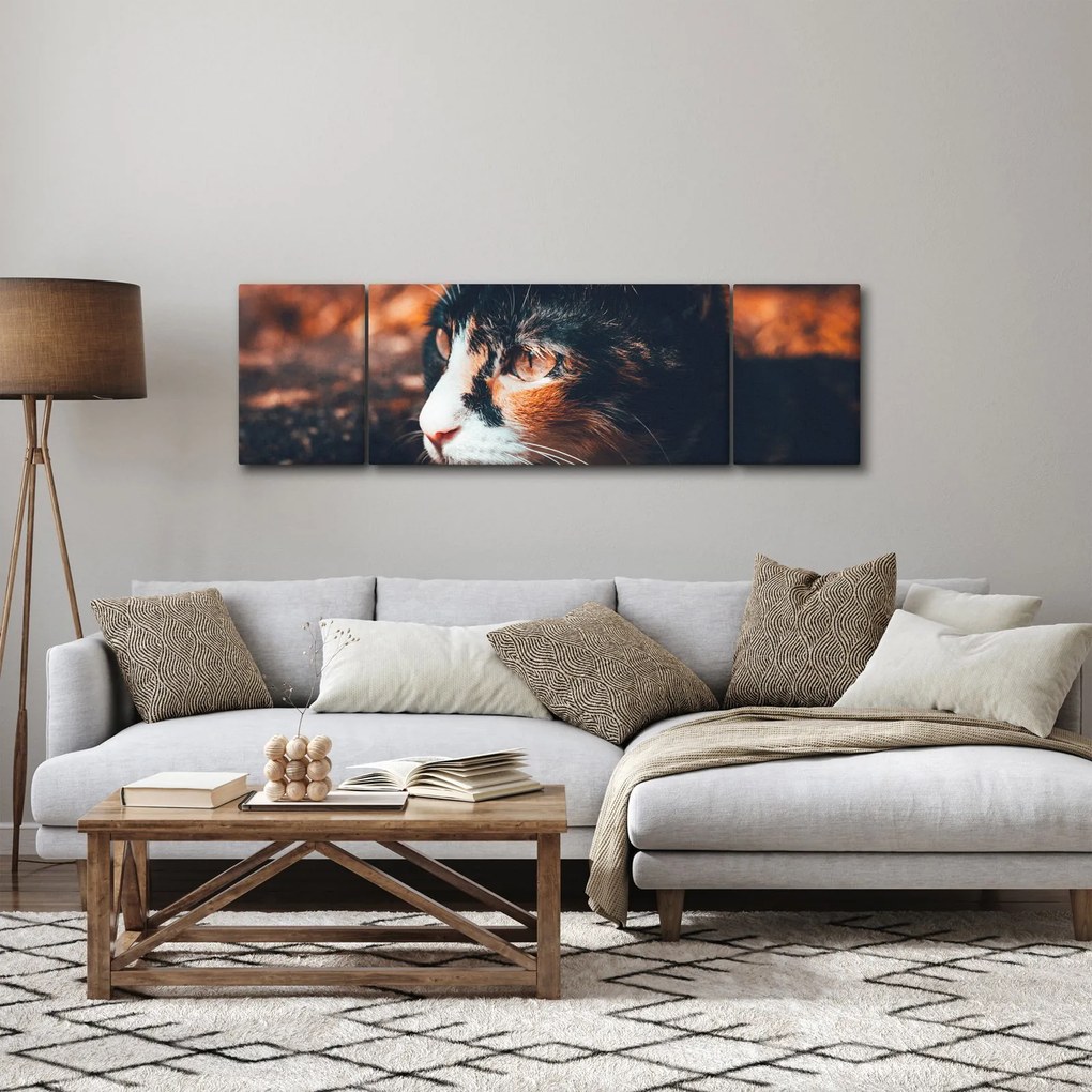 Obraz - Spojrzenie kota (170x50 cm)