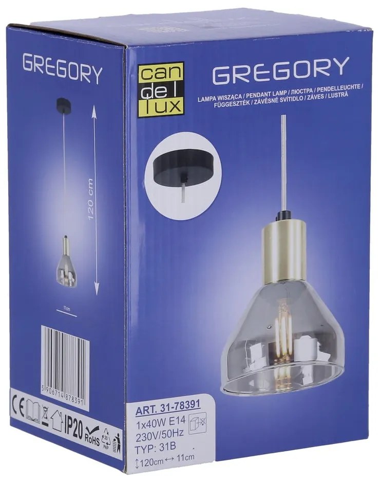 Lampa wisząca w lawendowo-złotym kolorze ze szklanym kloszem Gregory – Candellux Lighting