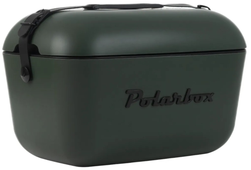 Polarbox Pojemnik chłodzący Classic Black 20 l, zielony, 20 l