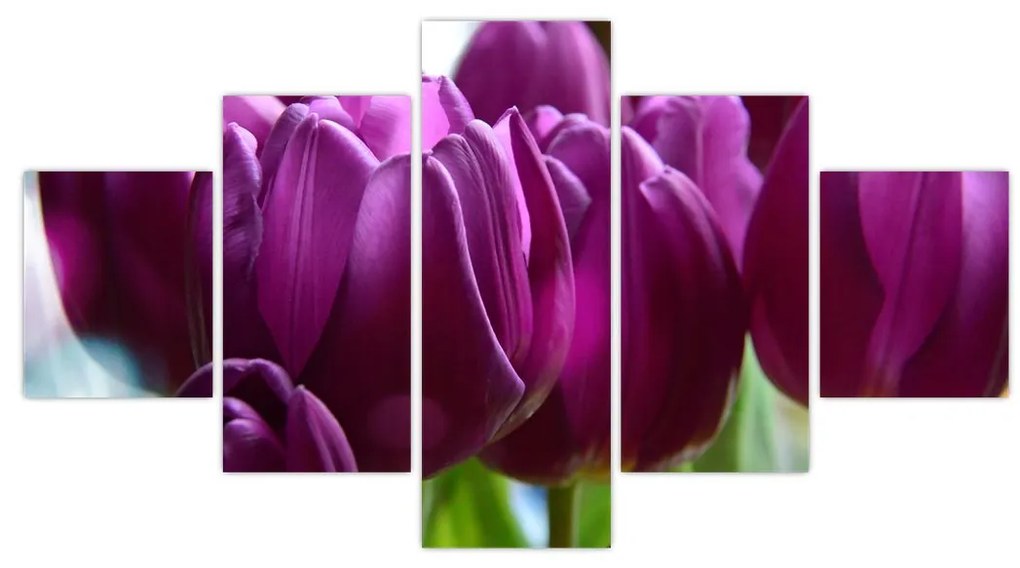 Obraz tulipanów (125x70 cm)