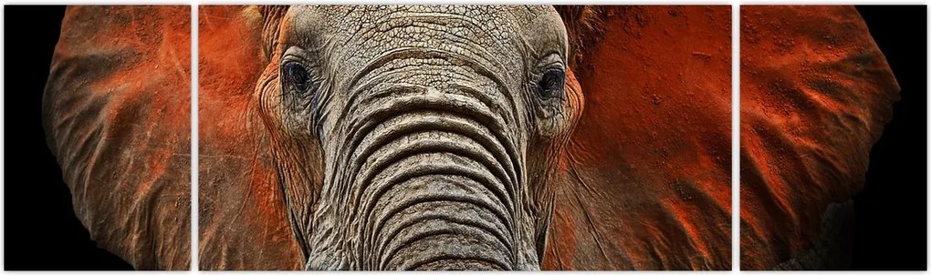 Obraz - Słonie z Tsavo (170x50 cm)