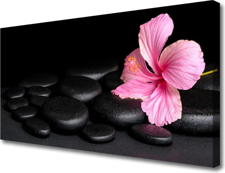 Obraz na płótnie Kontrast: Czarne Kamienie i Kwiat