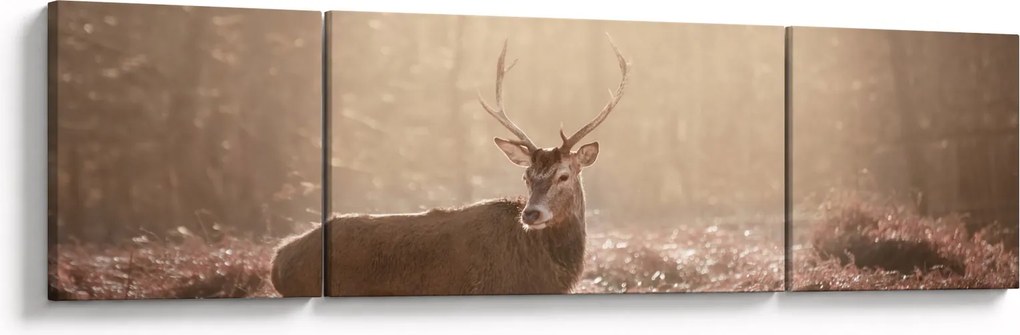 Obraz - Jeleń w lesie (170x50 cm)