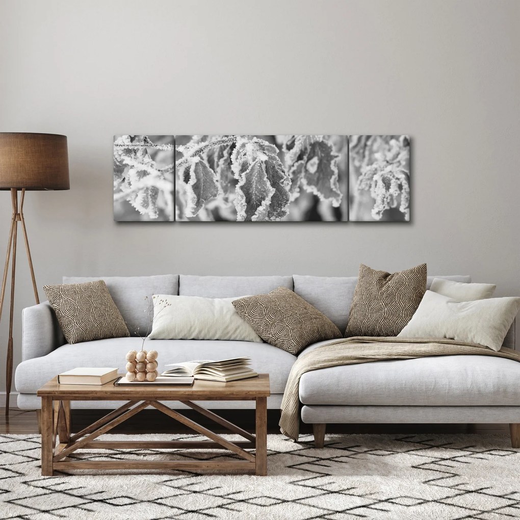 Obraz - Zmarznięte liście, czarno - biały (170x50 cm)