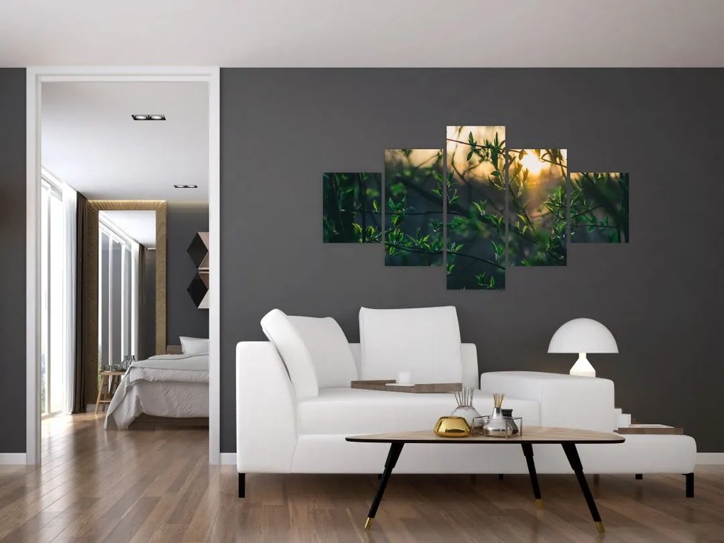 Obraz słońca przeświecającego przez gałęzie drzew (125x70 cm)