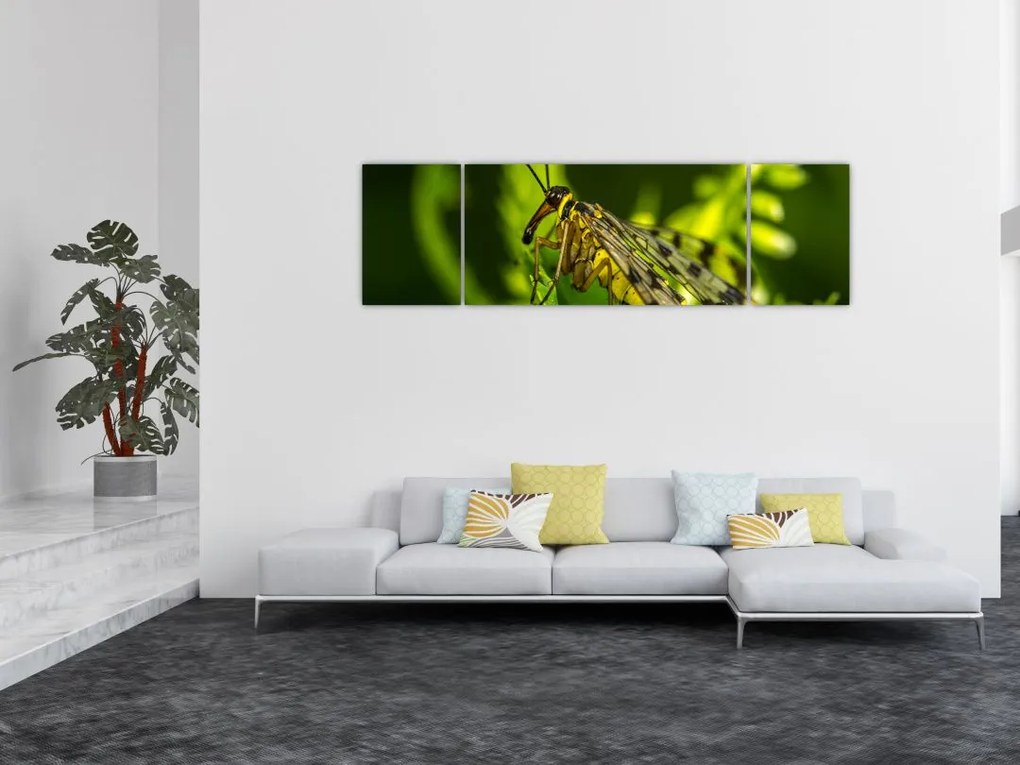 Obraz owada (170x50 cm)