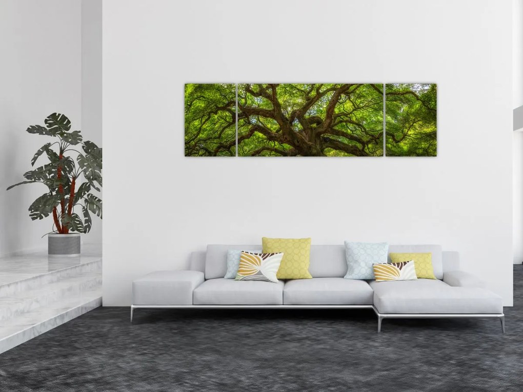 Obraz - Zielone drzewo (170x50 cm)