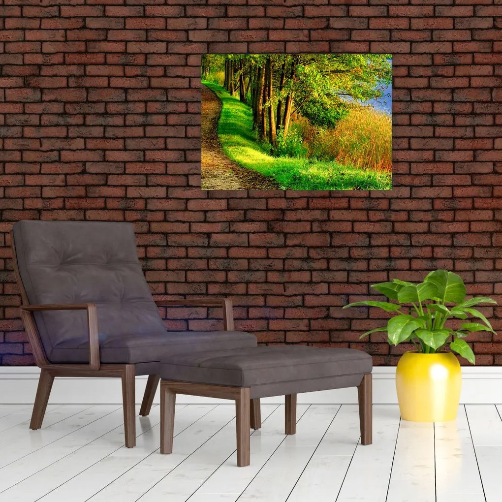 Obraz na szkle szlaku wzdłuż wody (70x50 cm)