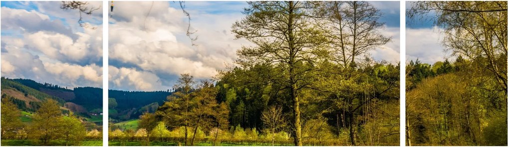 Obraz łodzi nad jeziorem (170x50 cm)