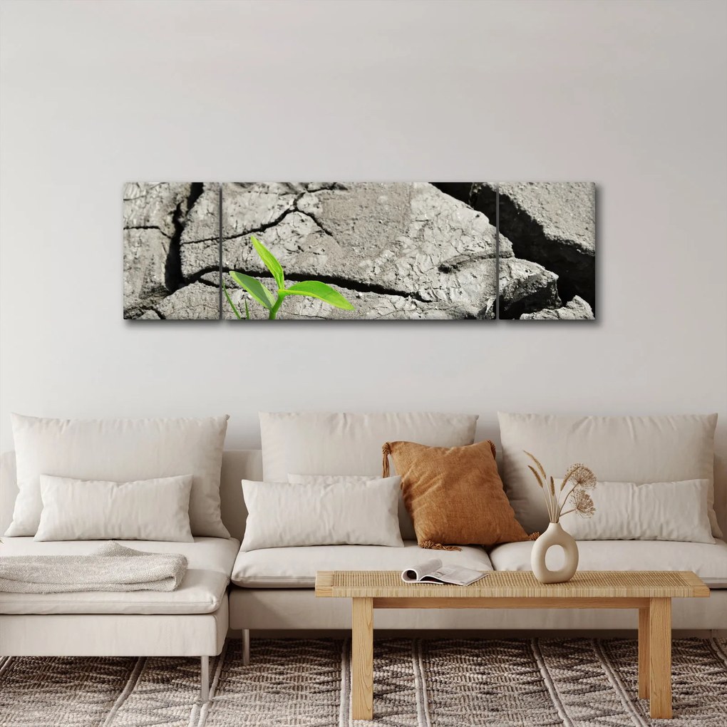 Obraz - Pęknięcia (170x50 cm)
