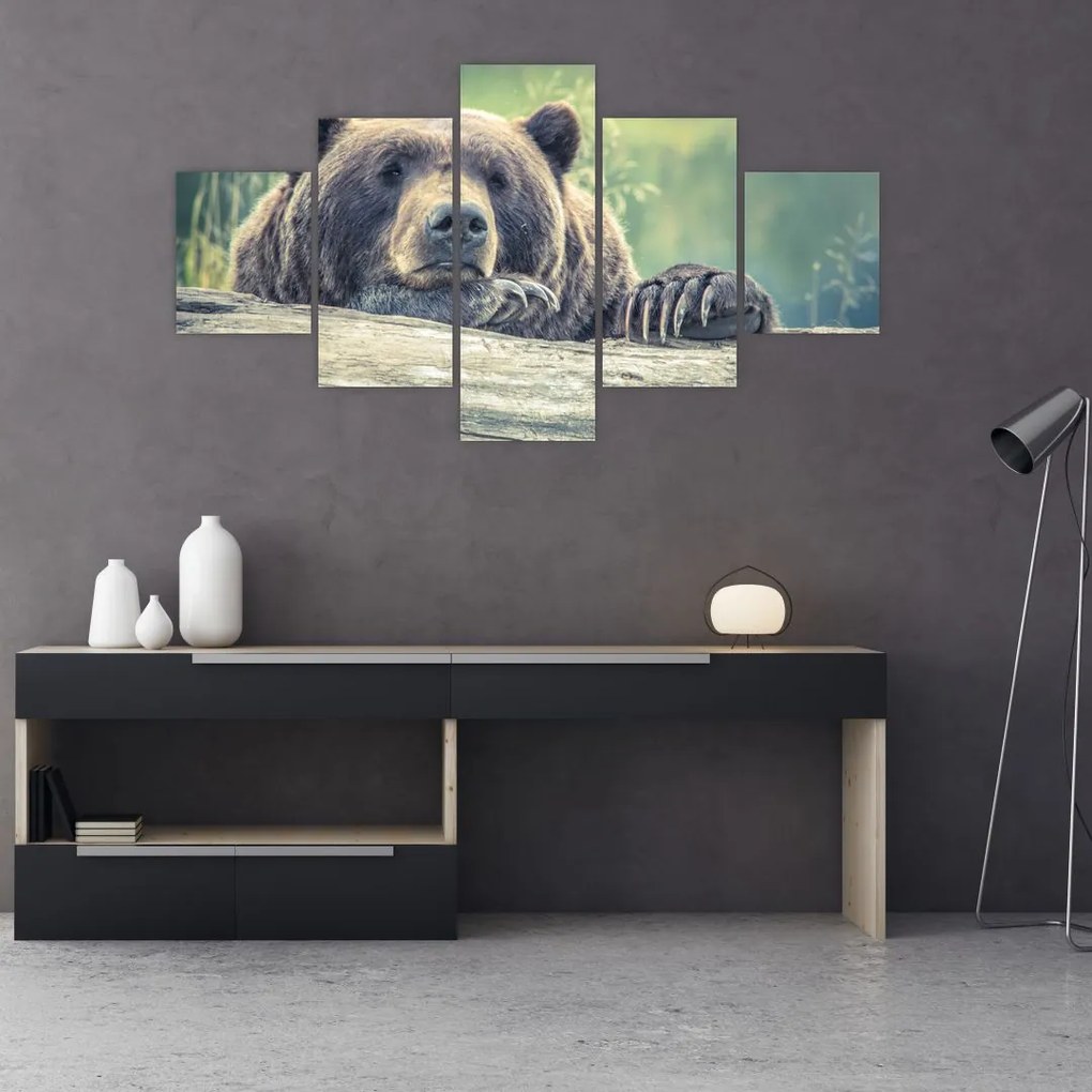 Obraz niedźwiedzia (125x70 cm)