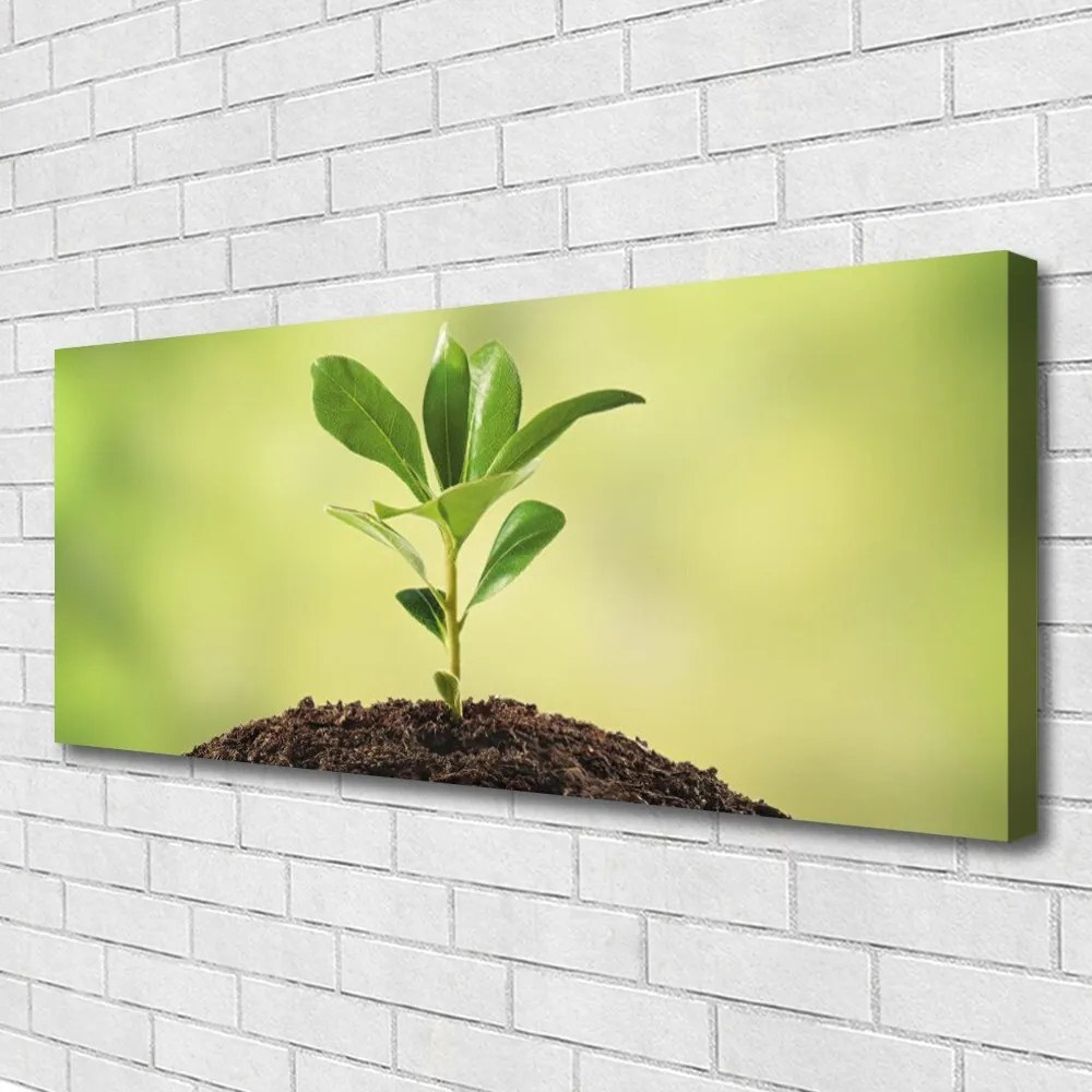 Obraz na płótnie Narodziny Życia: Młody Pęd