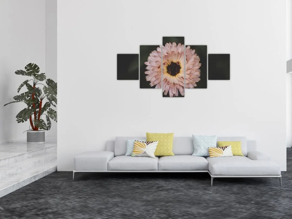 Obraz pomarańczowego kwiatu (125x70 cm)
