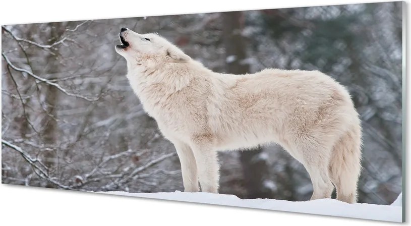 Panel Szklany Dziki Wilk w Zimowej Aurze