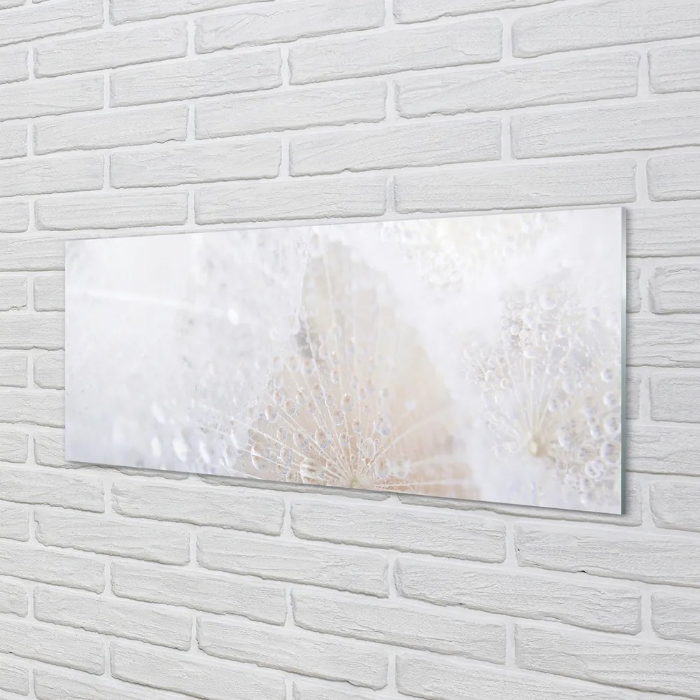 Szklany Panel Dmuchawiec i Rosa w Abstrakcji