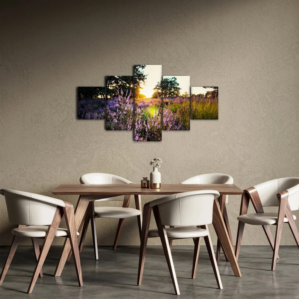 Obraz pola lawendy (125x70 cm)