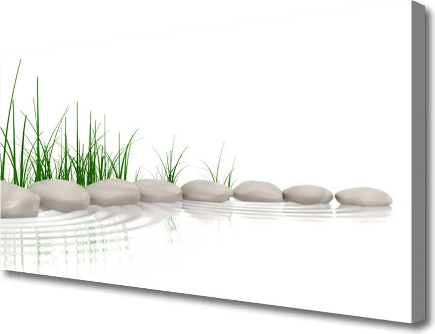 Fotoobraz na płótnie Kamienie w Zielonej Trawie