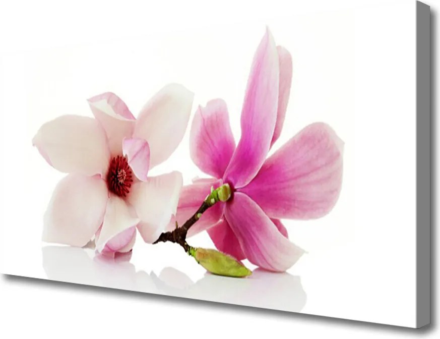 Fotoobraz na płótnie Romantyczna Kompozycja Kwiatowa