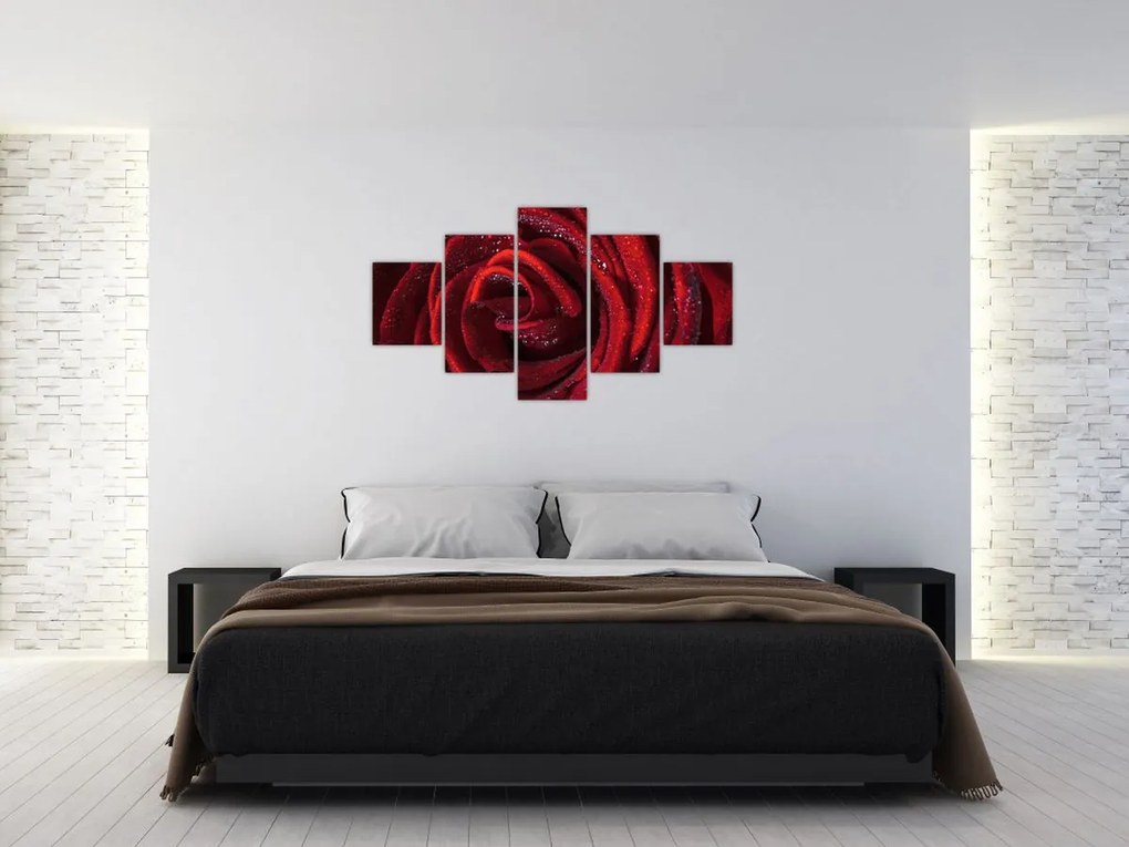 Obraz - Czerwona róża z kroplami rosy (125x70 cm)