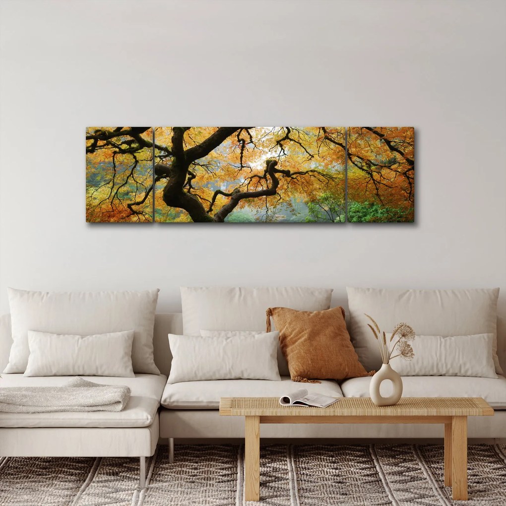 Obraz żółtego klonu japońskiego, Portland, Oregon (170x50 cm)