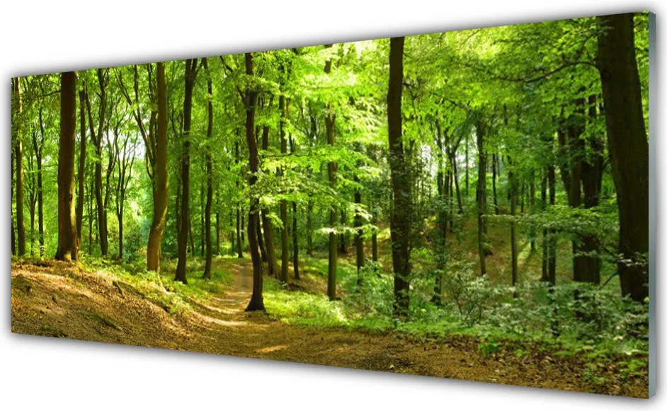 Szkło do Kuchni na Ścianę Ścieżka Przez Dziki Las