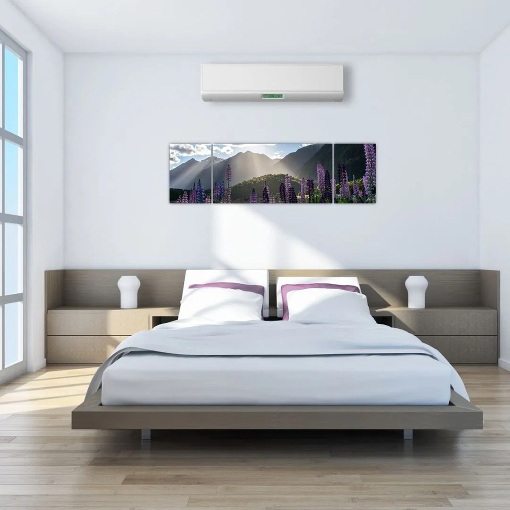 Obraz - Sceneria łubinów (170x50 cm)