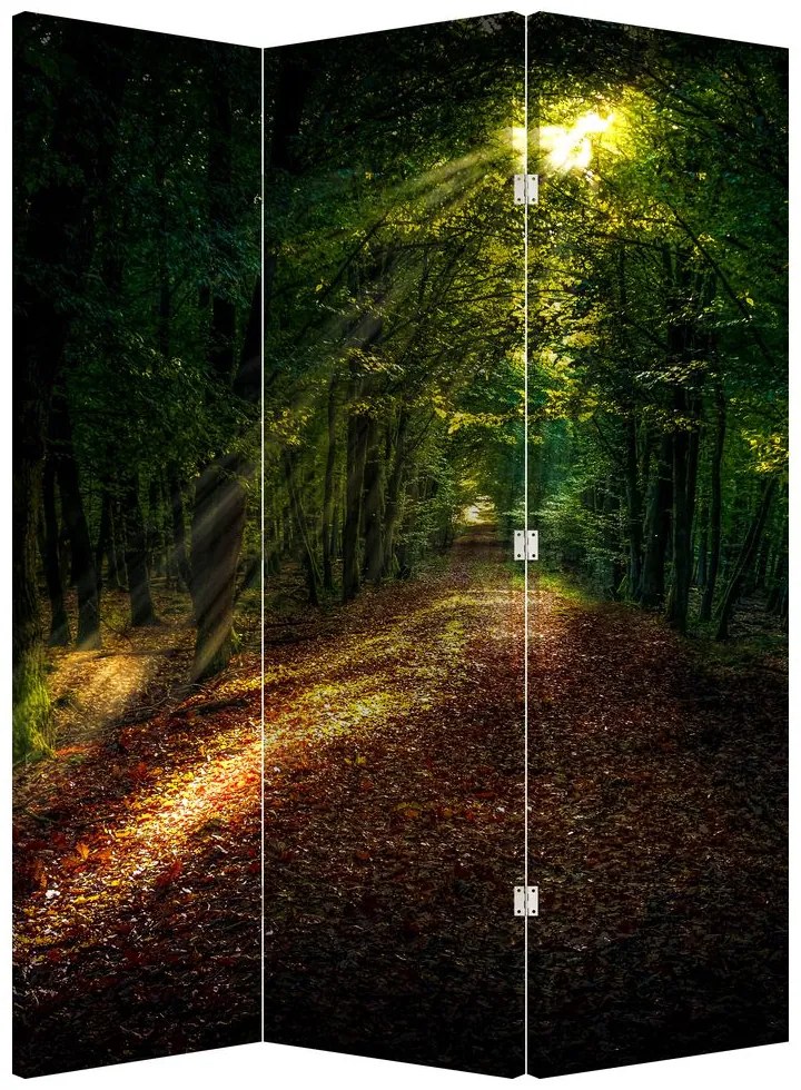 Parawan - Ścieżka leśna (126x170 cm)