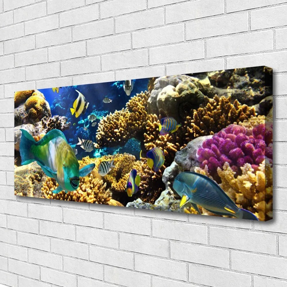 Obraz canvas na ścianę Kolorowe Życie Rafy Koralowej