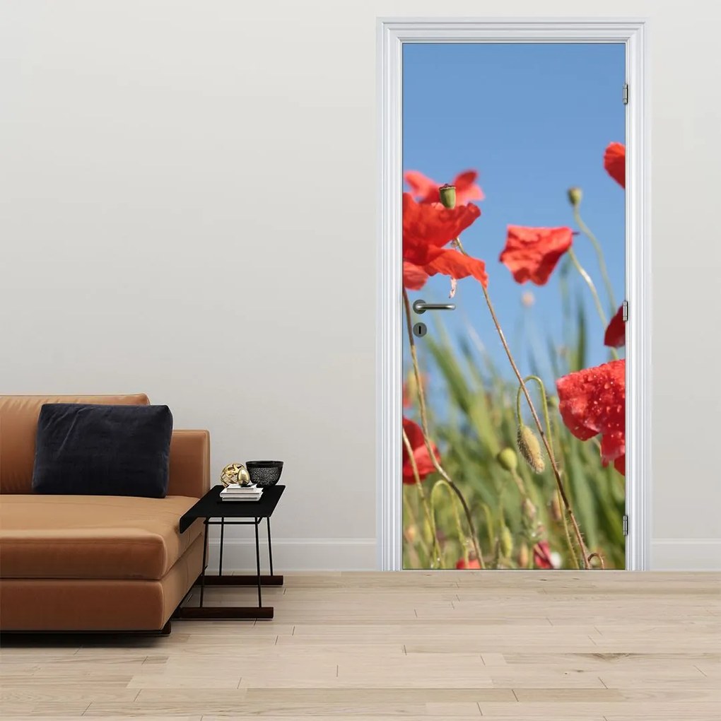 Fototapeta na drzwi - Maki (95x205cm)