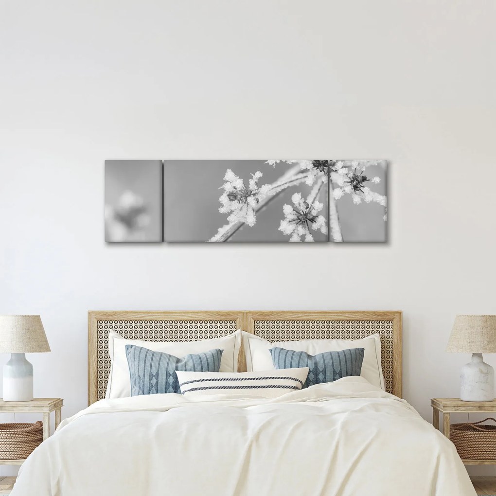 Obraz - Mrożona roślina (170x50 cm)