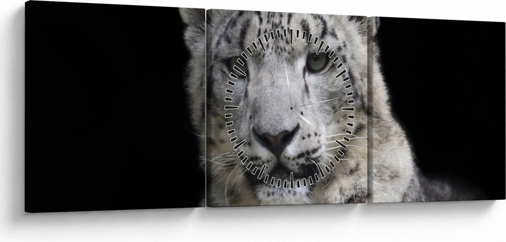 Obraz - Snow Leopard (z zegarem) (90x30 cm)
