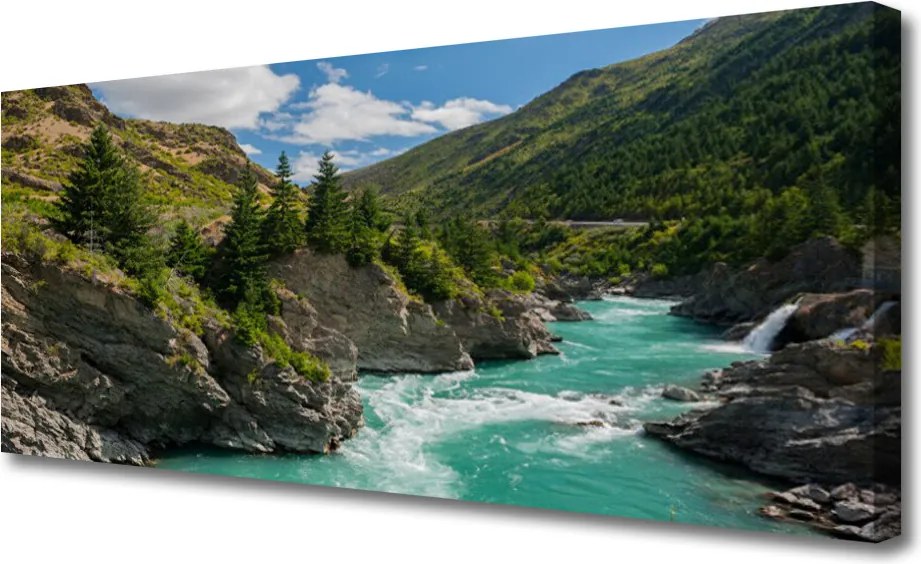 Obraz na płótnie Dzika Górska Rzeka