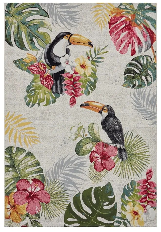 Dywan odpowiedni na zewnątrz 80x165 cm Flair – Hanse Home