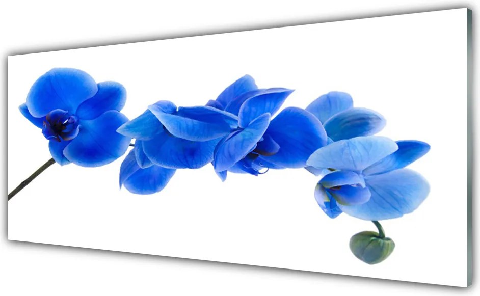 Panel Szklany Delikatność Roślinnej Formy