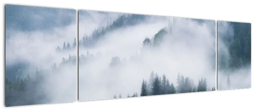Obraz - Drzewa we mgle (170x50 cm)