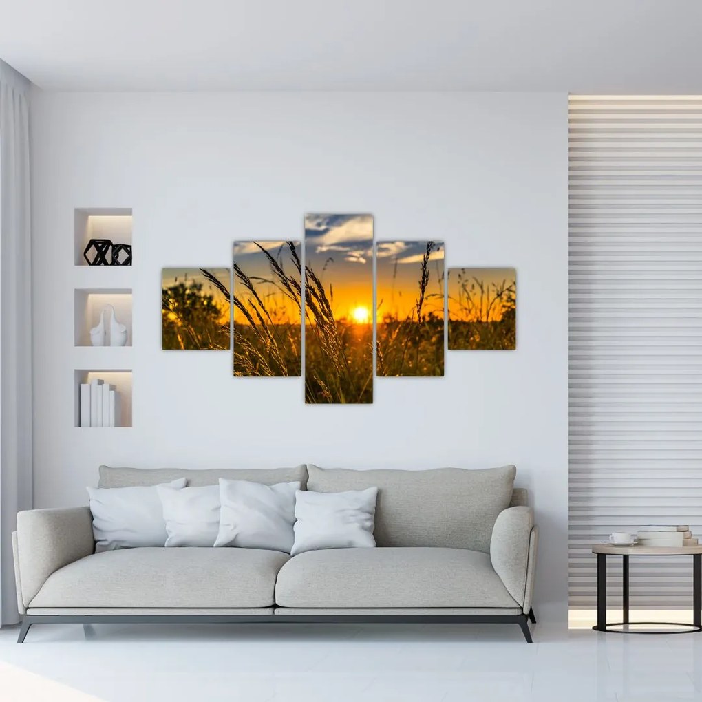 Obraz pola o zachodzie słońca (125x70 cm)