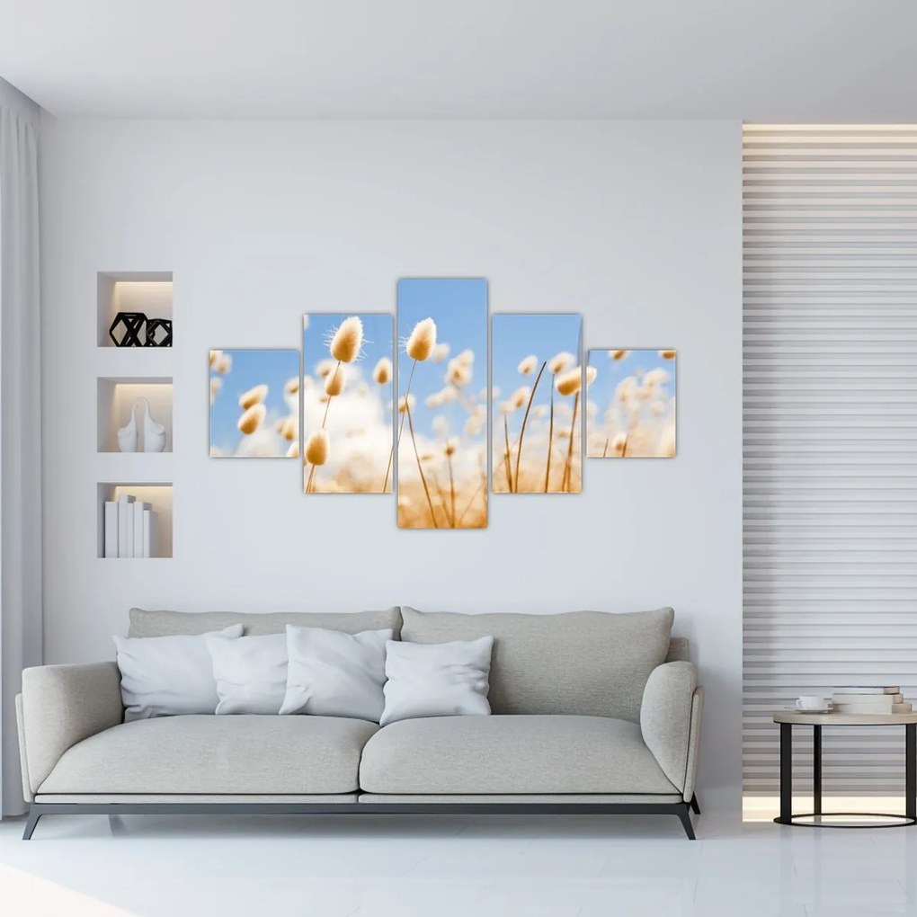 Obraz - Złote pole (125x70 cm)