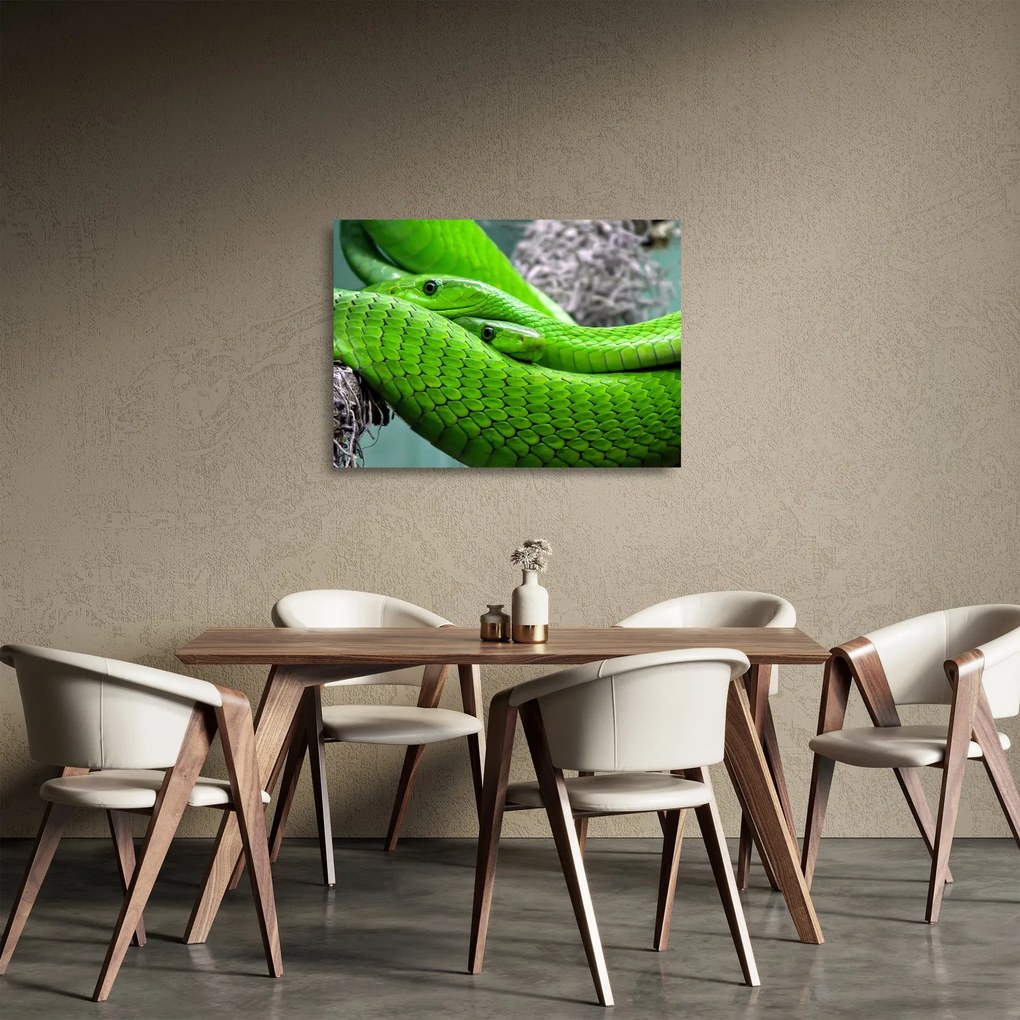 Obraz na szkle - zielone węże (70x50 cm)