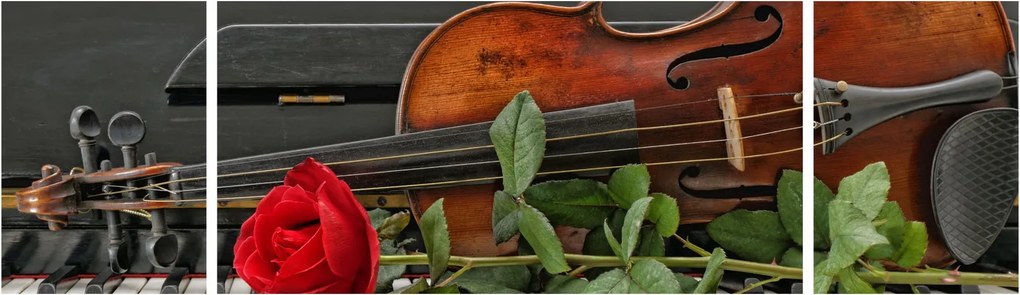 Obraz - Pamięć muzyka (170x50 cm)